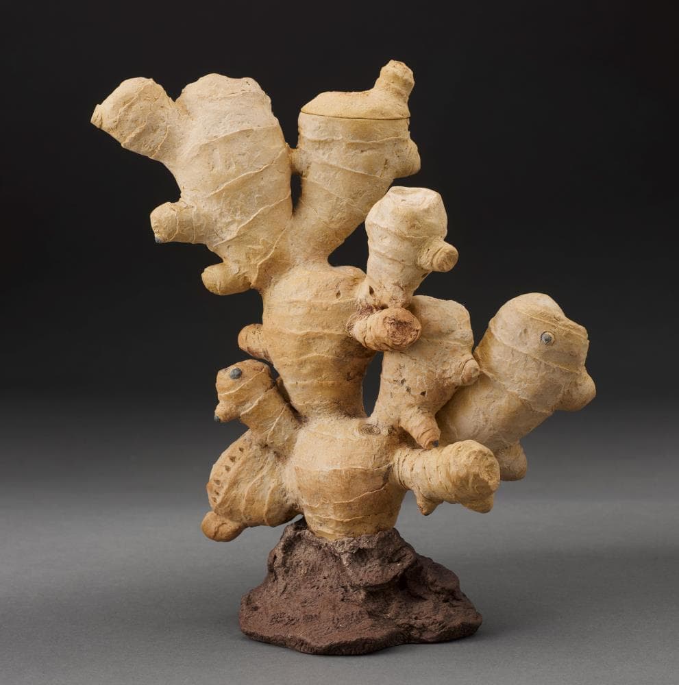 Ginger Root Form Teapot