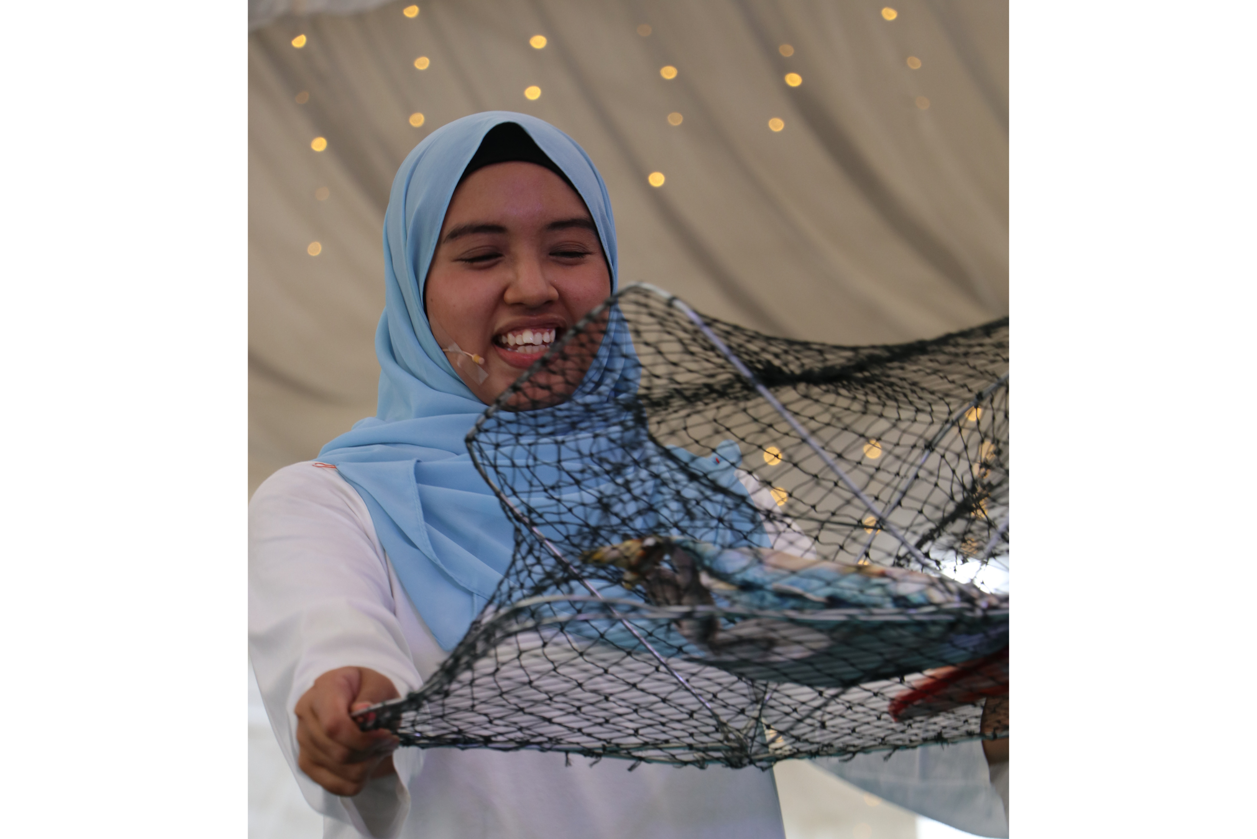 image highlight
